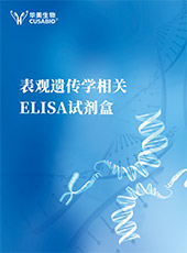 表观遗传学相关ELISA试剂盒