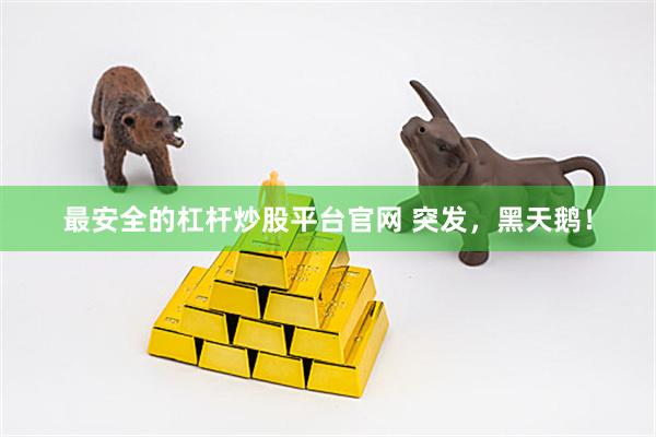 最安全的杠杆炒股平台官网 突发，黑天鹅！